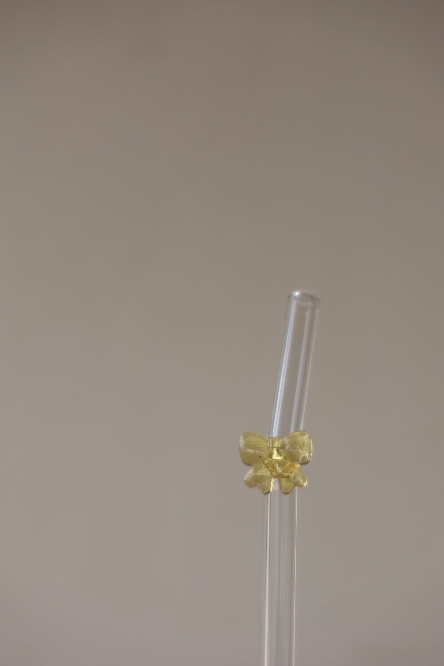 Glass Straw