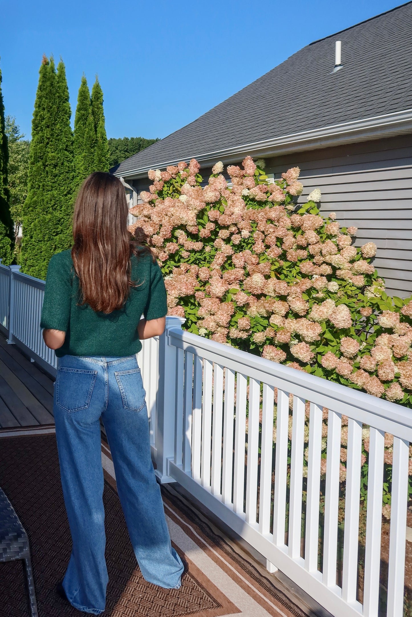 Anise Knit Top