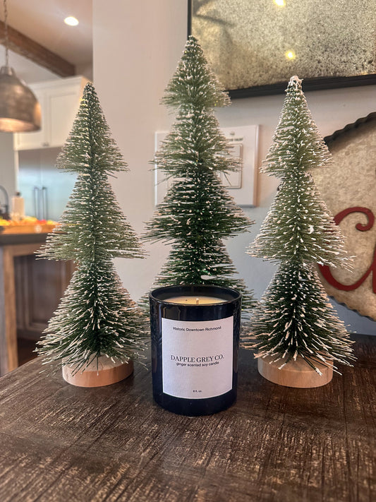 Dapple Grey Co. Limited Edition Ginger Candle