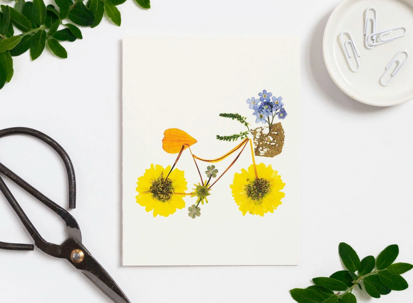 Flower Pedals Card